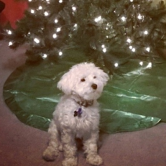 Meet your Posher, Bethany and zachary - Picture 1 of 1